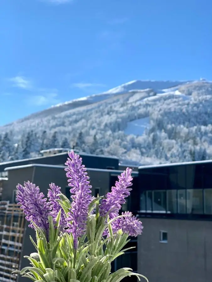 Inverno Apartments Bjelašnica