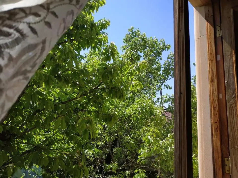 Сибиряк Sibiryak