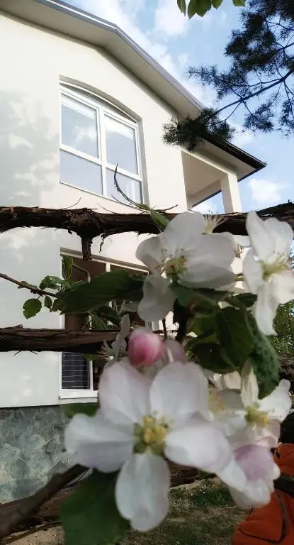 Villa Bloom - Villa in nature with a large orchard
