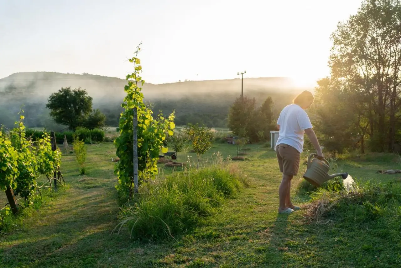 OZ - Obecana Zemlja Permaculture Homestead