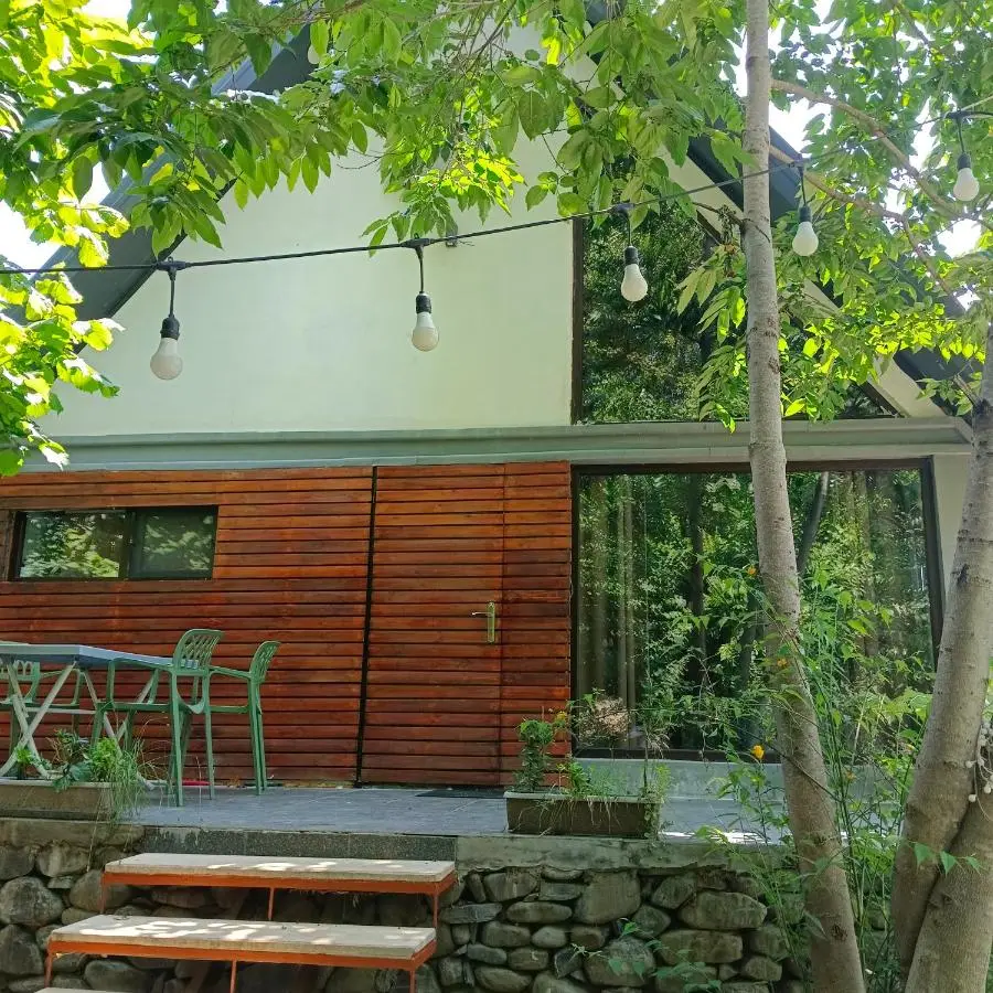 Woodland Paradise