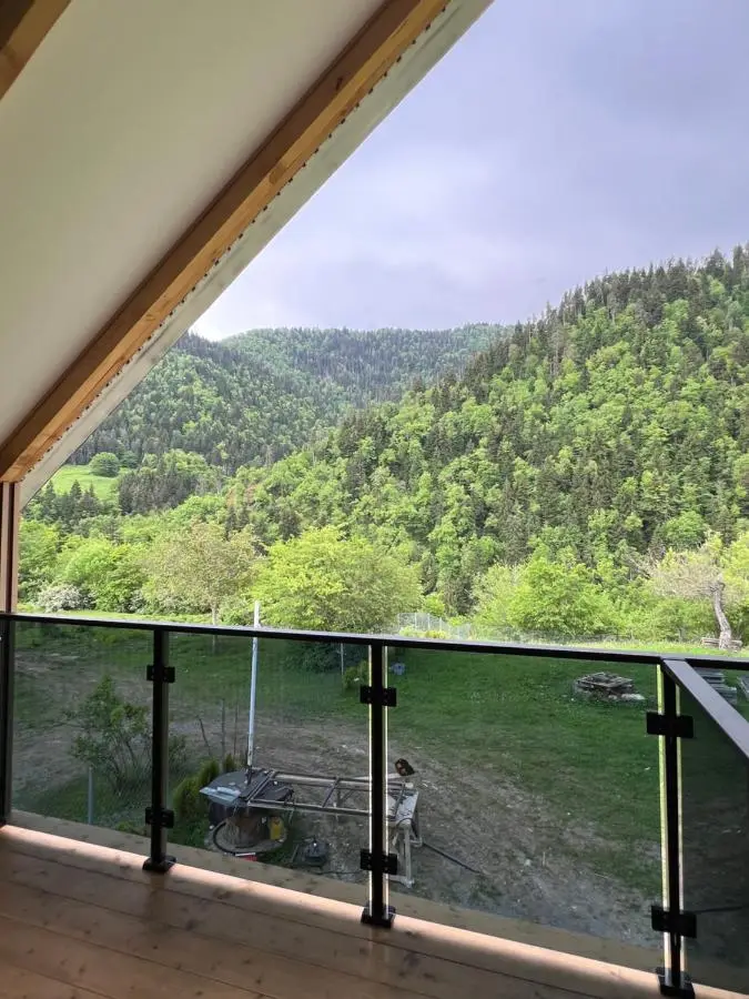 MTA house - Borjomi