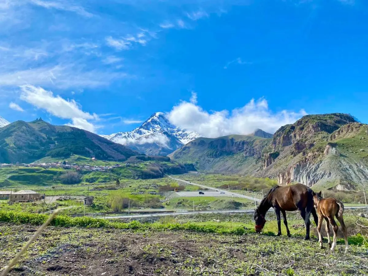 Kazbegi Inn