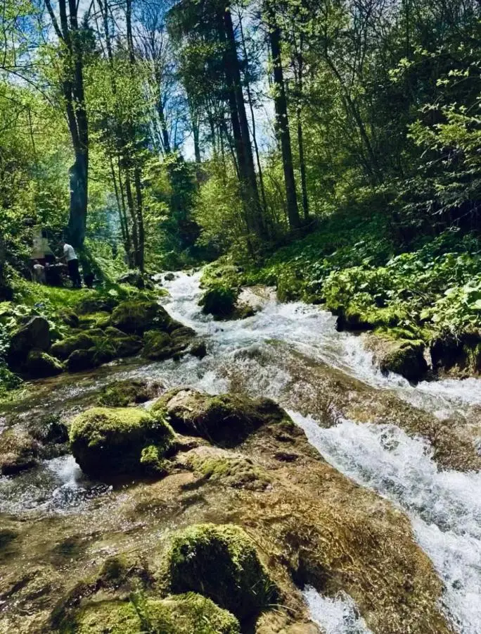 Vikend kuća Vrelo Miljacke