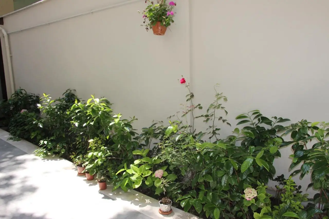 Artika Hotel