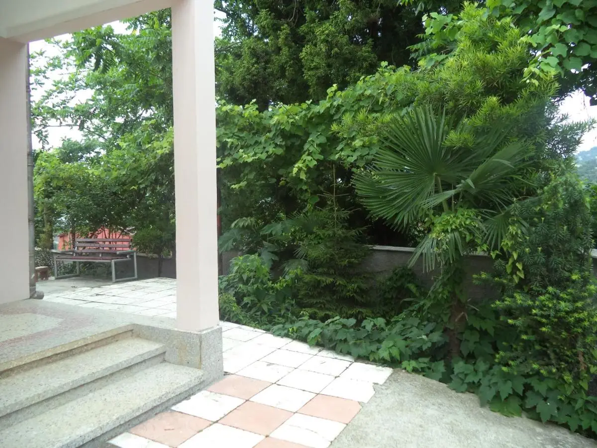 Maiko's House
