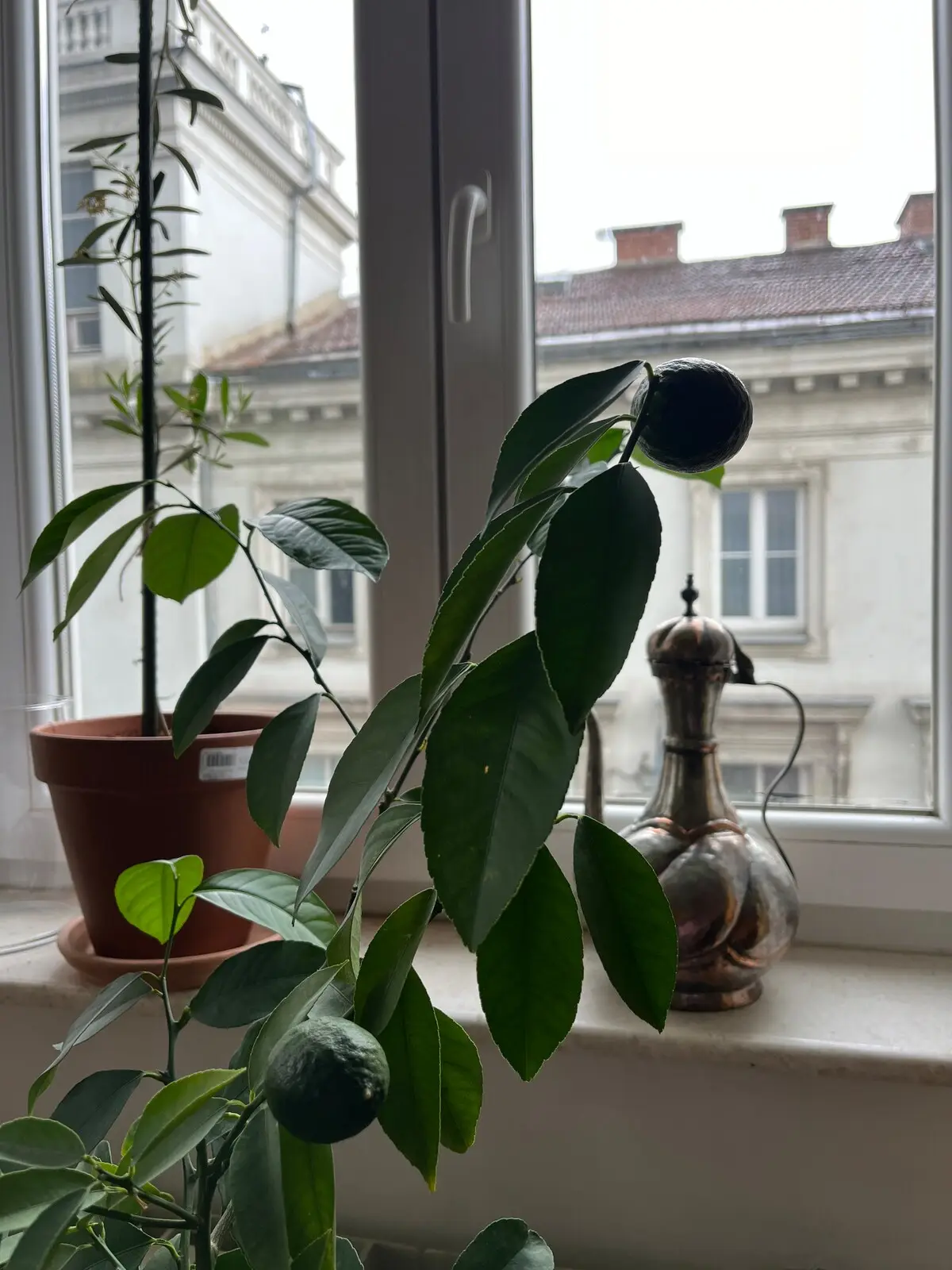 Luxurious  Apartment in Old Town+Parking