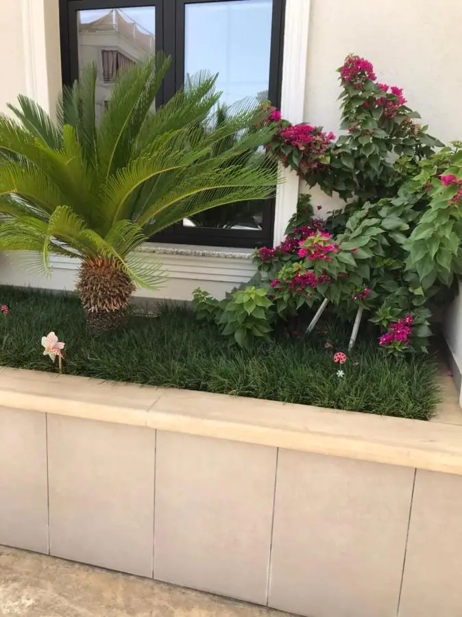Home Hotel