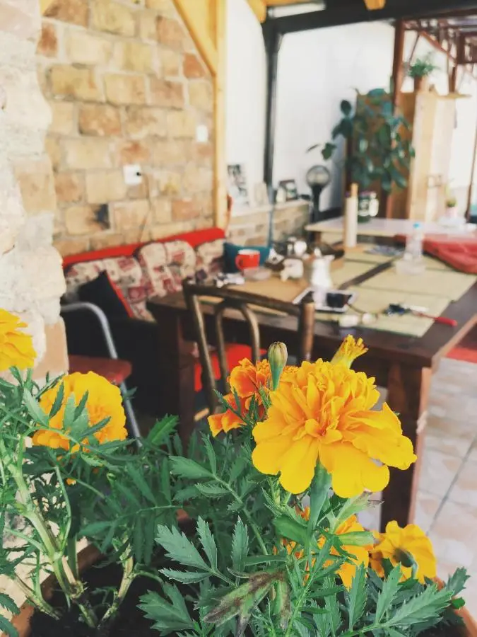 Guest house Nizama's Place