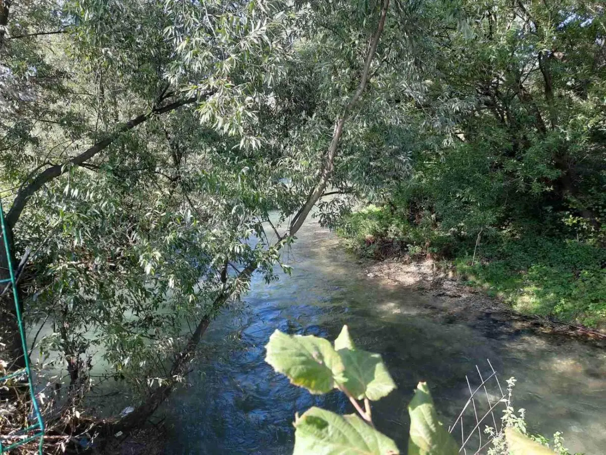 The Bosna River