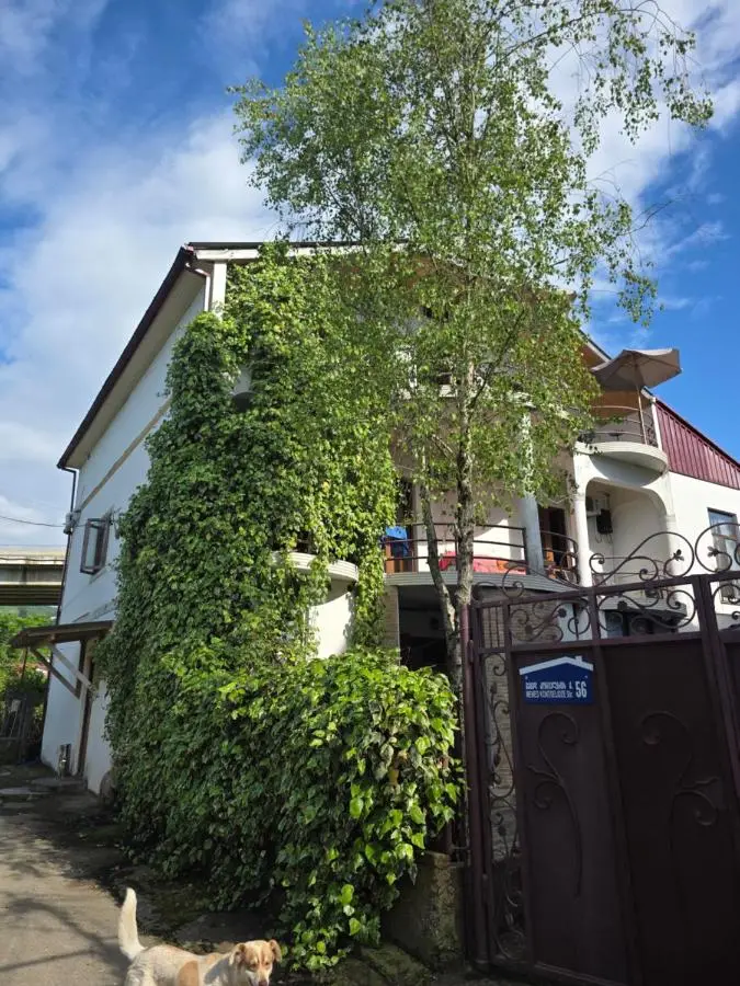 Merabi Guest House