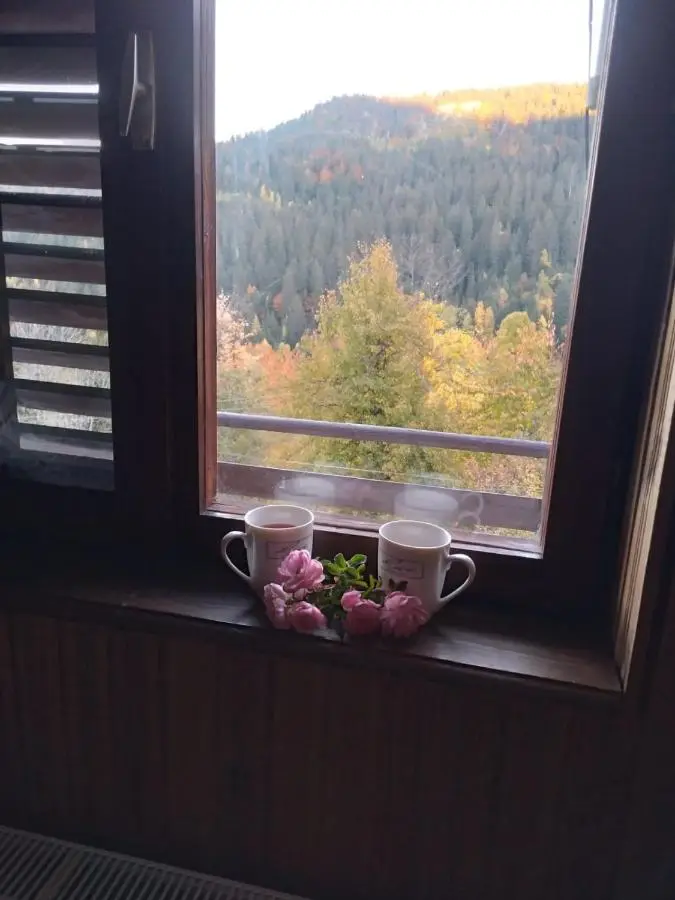 Planinska kuća ,,Furtula" Jahorina
