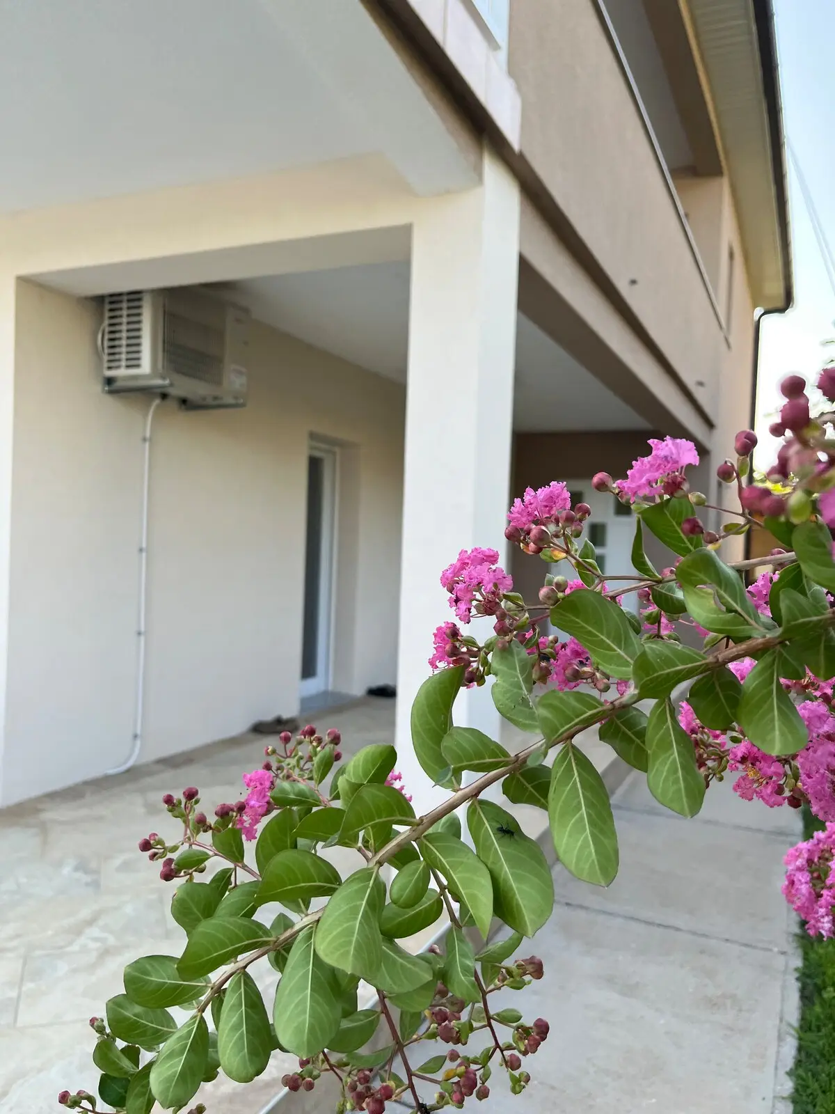 Villa Alma Buna