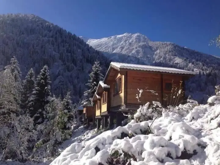 Kardelen Bungalov Evleri̇