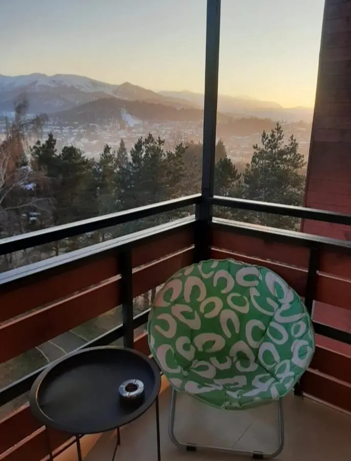 Bakuriani Inn Aparment