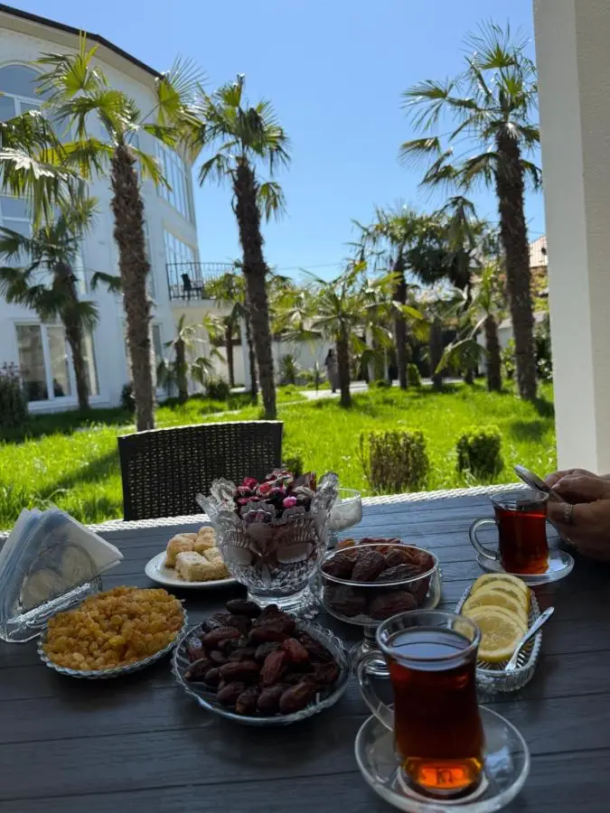 Gabala Palm Villa