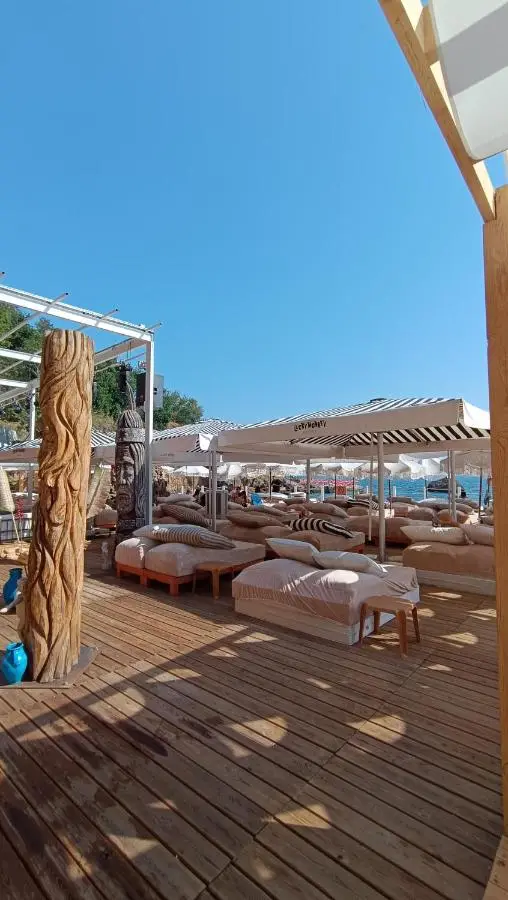 Lucky Monkey Hotel
