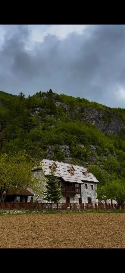 Kompleksi Zorgji