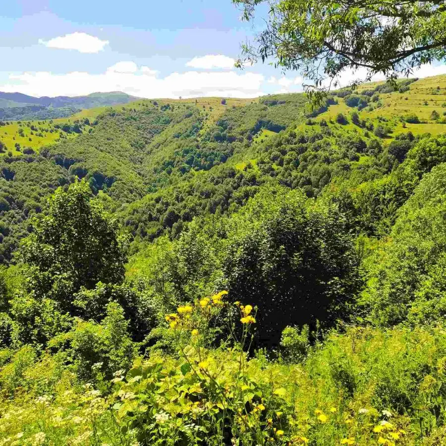Holiday home Vila Bjelašnica