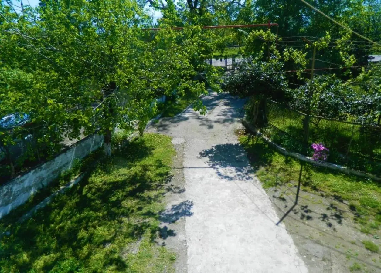 Kobuleti Deluxe Apartments with Sea View