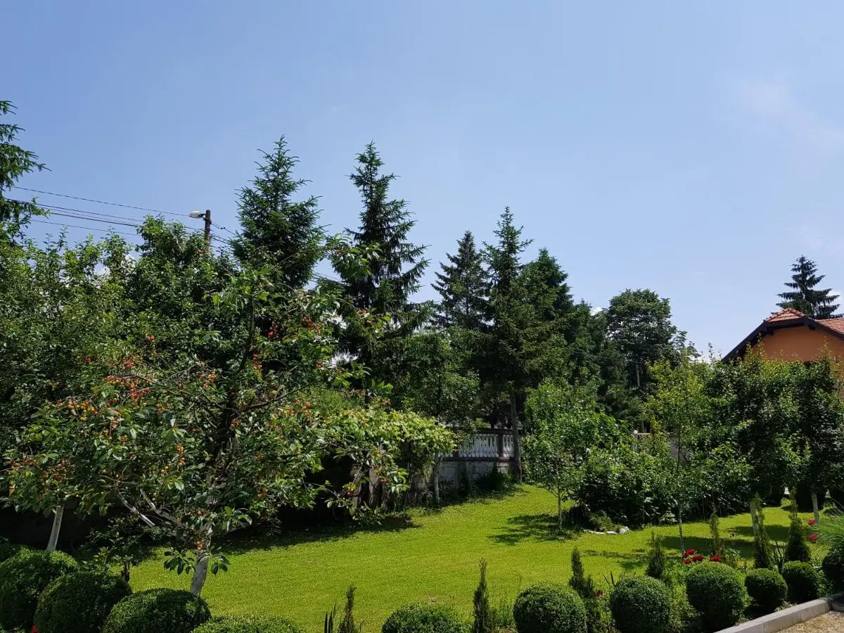 Apartment Paradise Enver