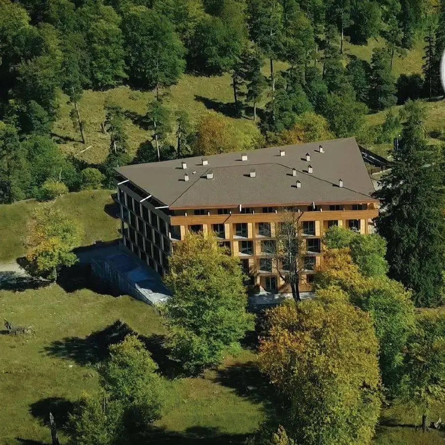 The Valley Bakuriani