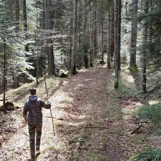 Koliba Ravna planina