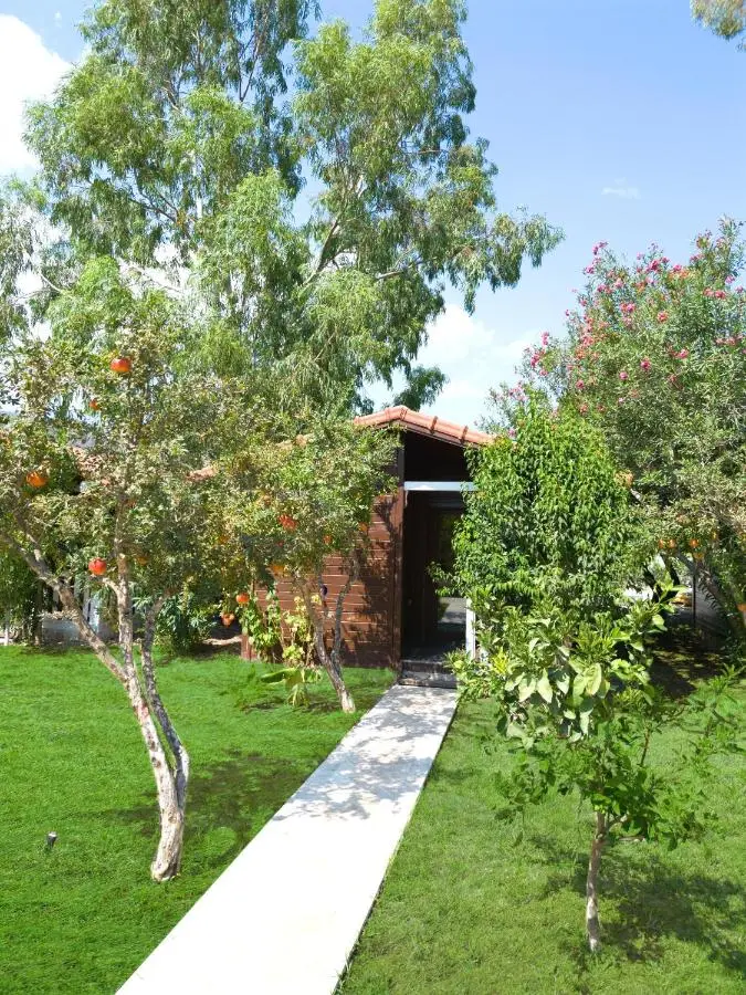 Alicra Hotel Çıralı
