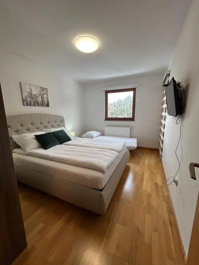 Montis Vlasic Apartment 1