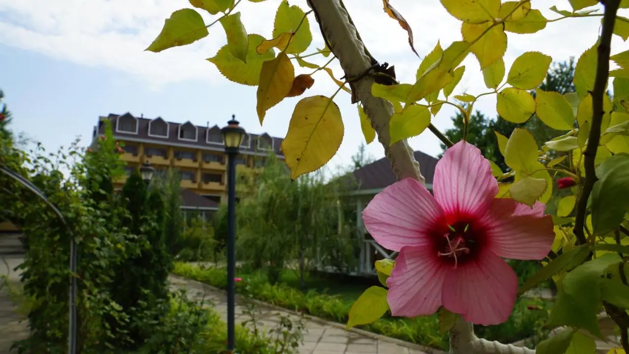 River Side Hotel