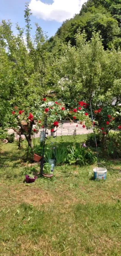 Apartmani Dada Kanjon Grmuša