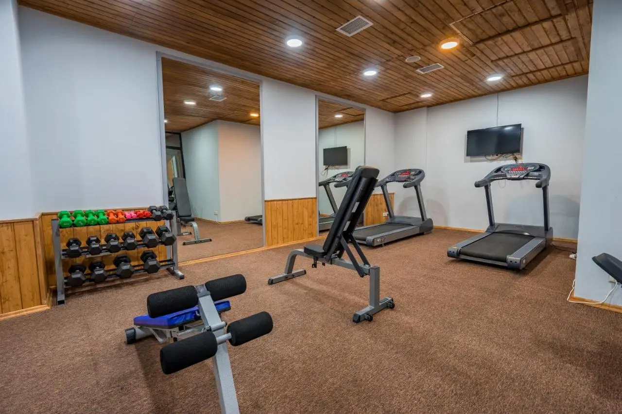 3-room Apartment NFT New Gudauri 404