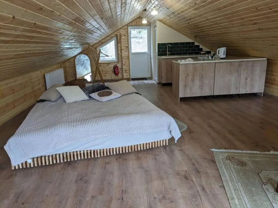 Unforgettable attic with balcony in Borjomi