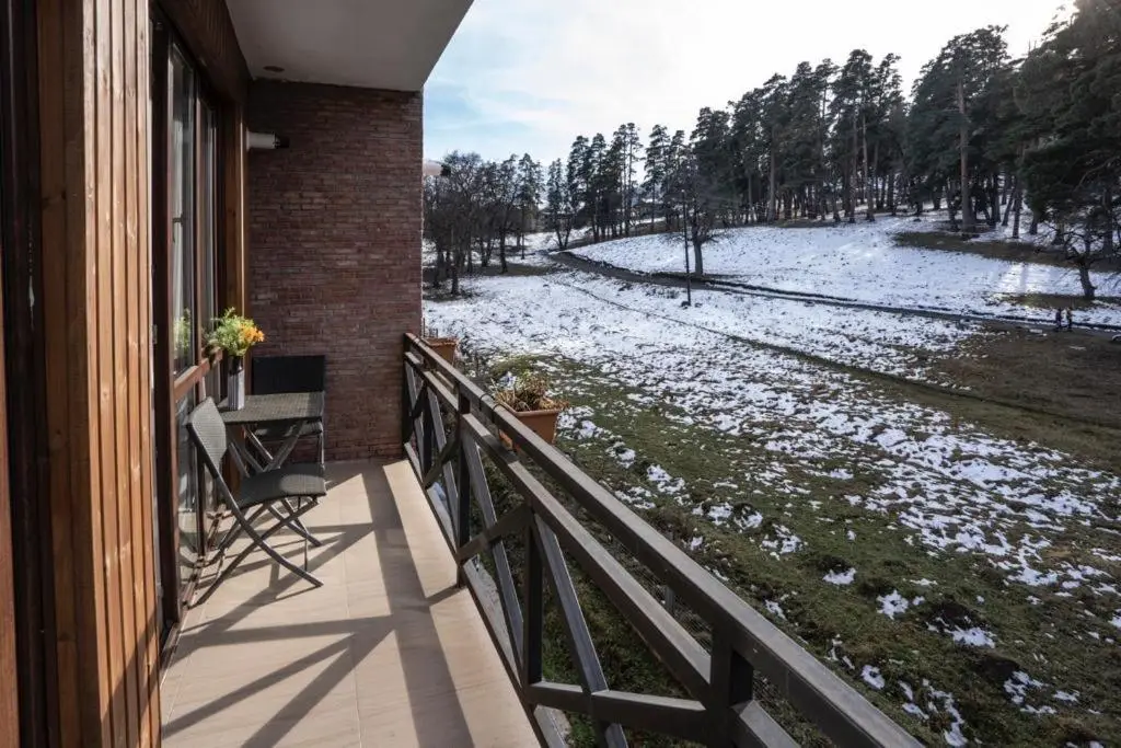 Bakuriani Park Residence Apartment47