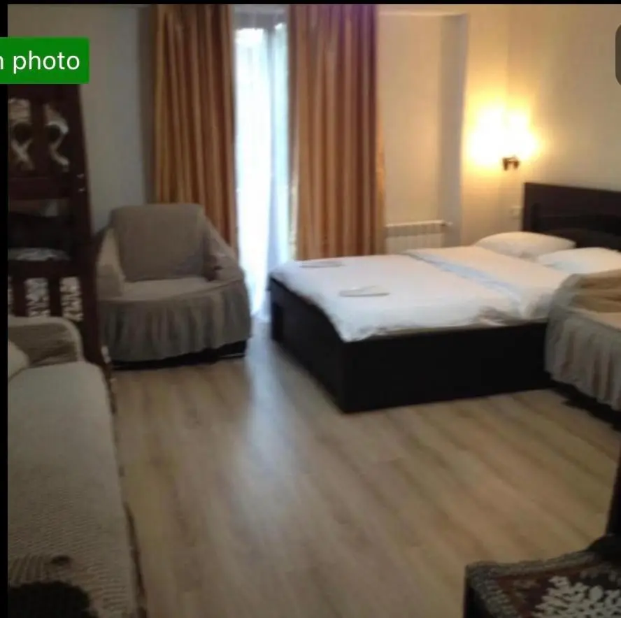 David APT on Bakuriani Orbi Palace