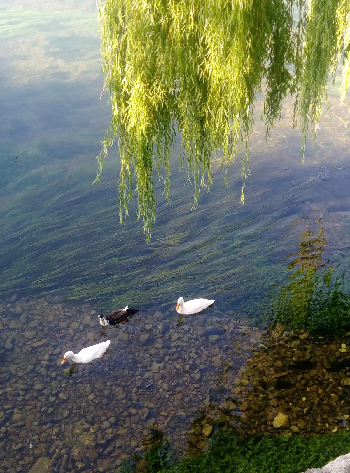River House Buna - Mostar