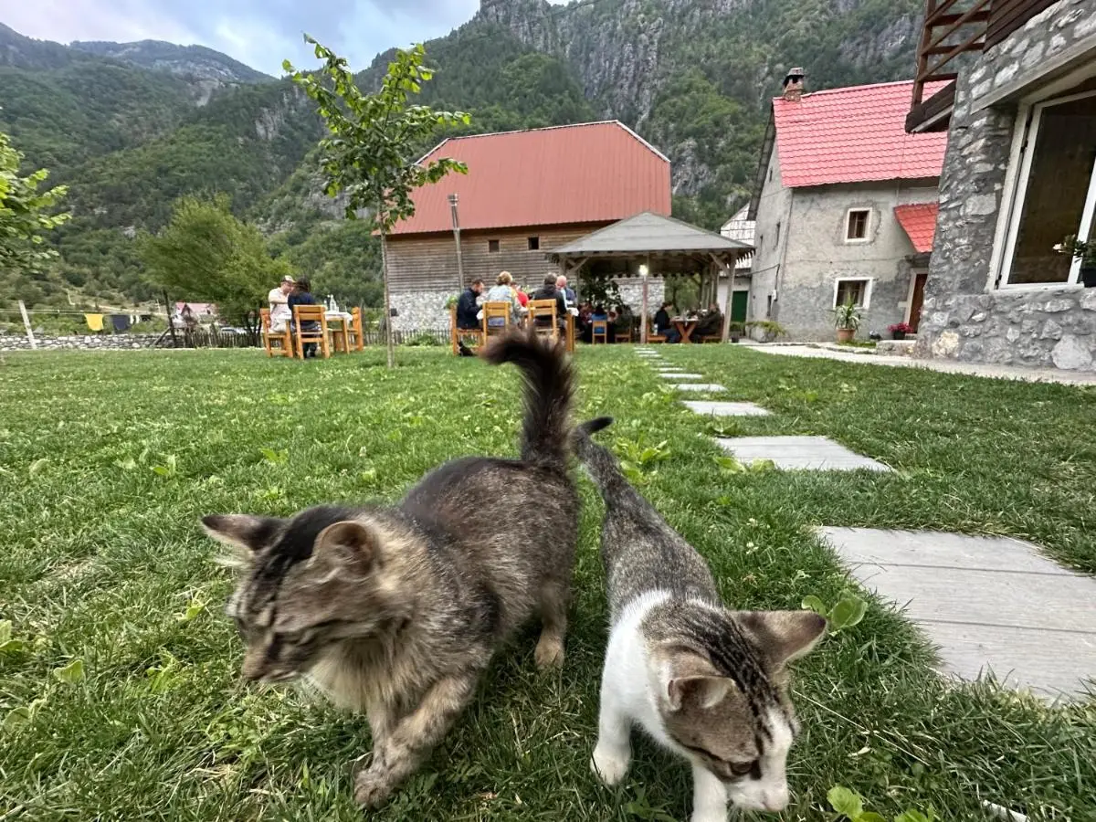 Bujtina Vellezerit Grrela