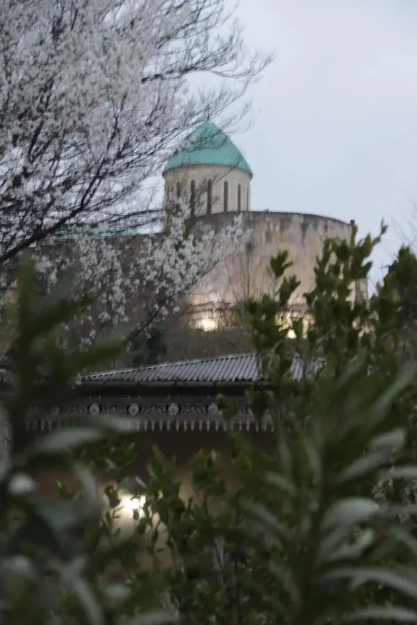Guest House Anina