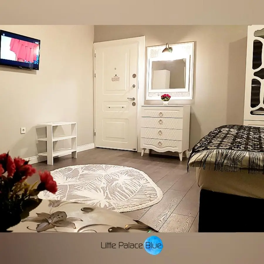 Little Palace Blue Apartment