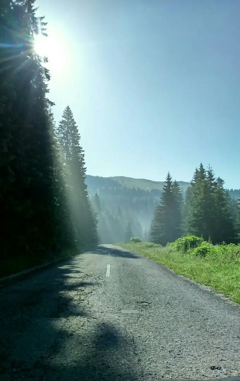 Enjoy the silence