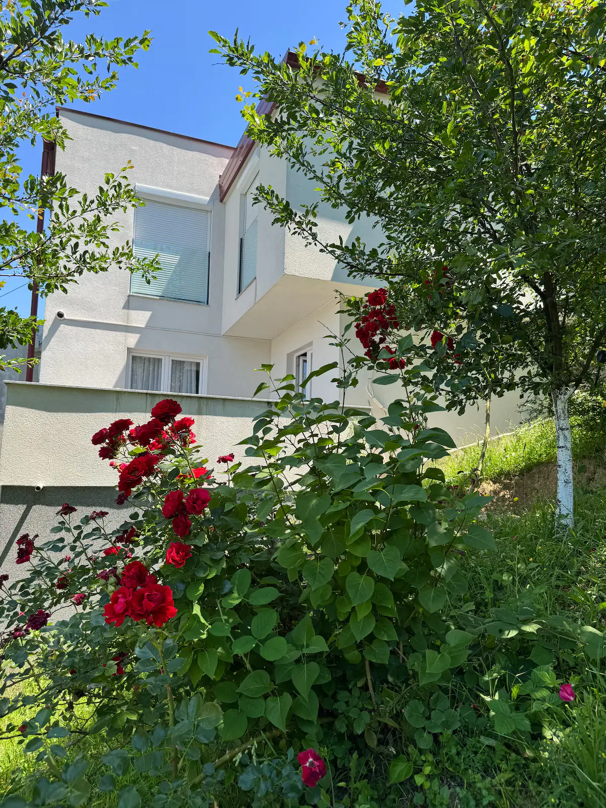 Villa Sunny Alley - Sunčani Sokak - Sarajevo