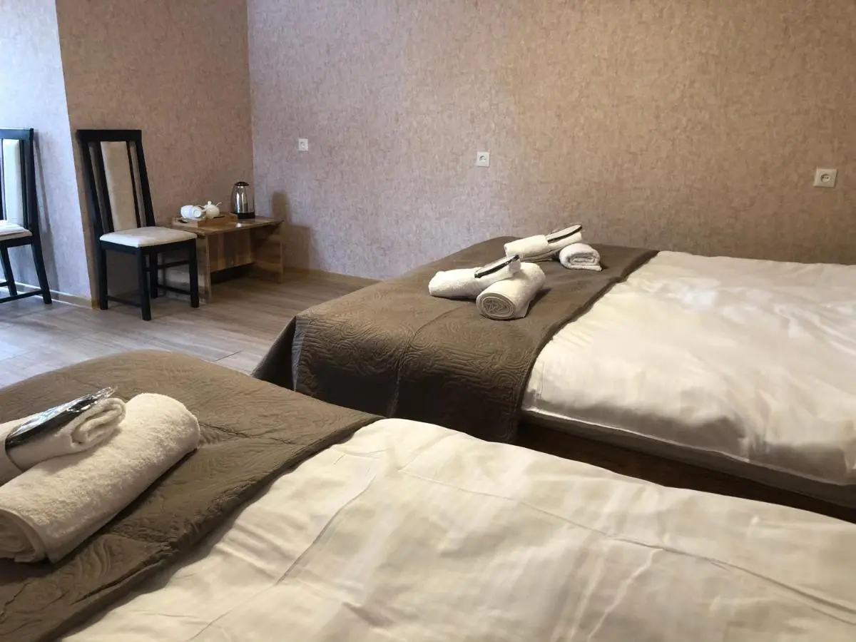Wander Kazbegi Hotel