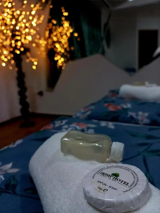 Hotel Irish