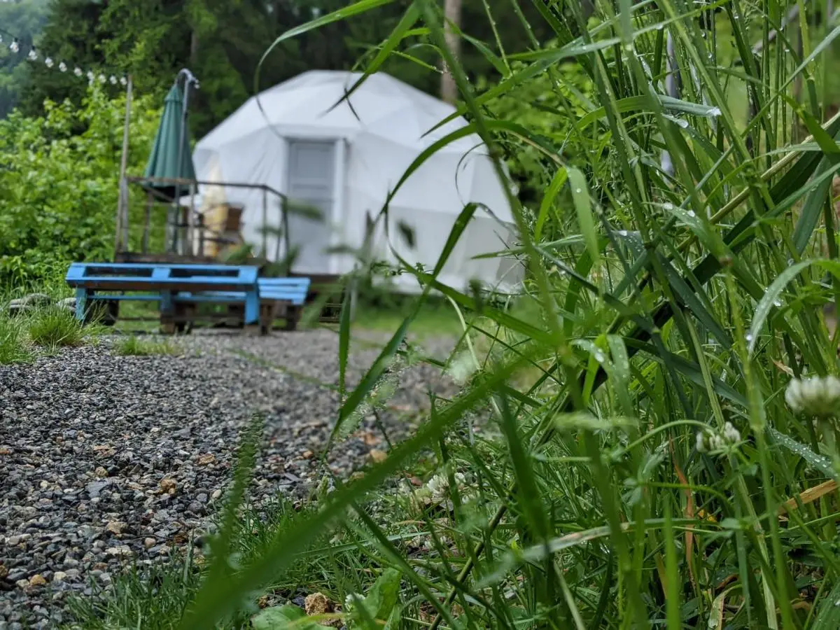 Ajara Glamping Kokotauri
