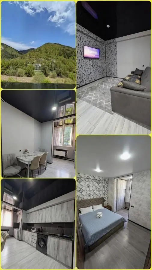 Gari's apartment next to Borjomi Central Park