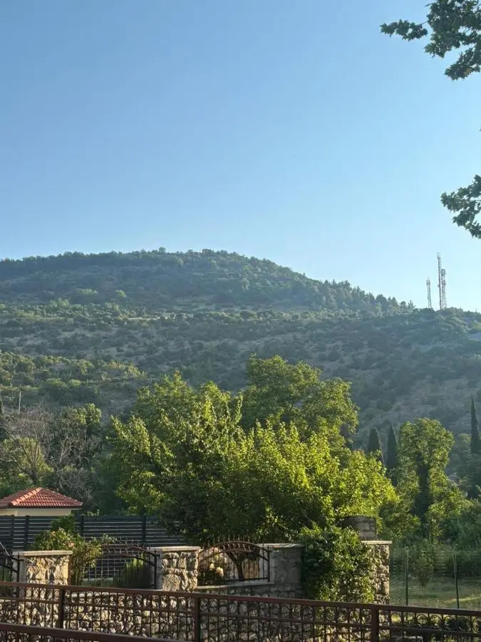 Medina