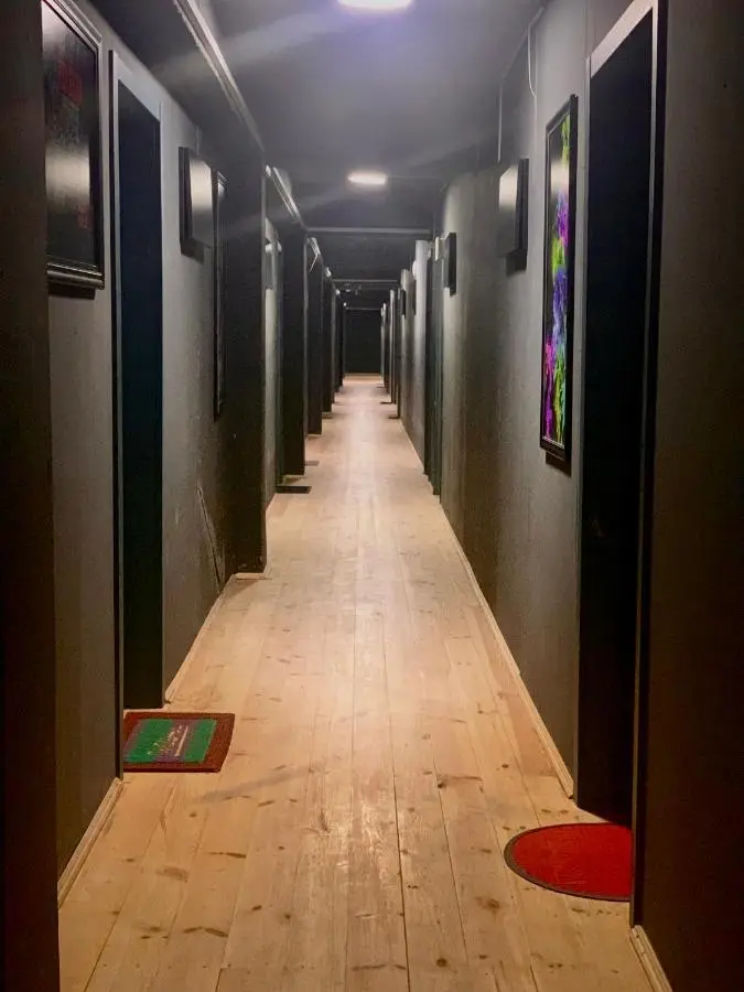 Bakuriani art apart hotel 203