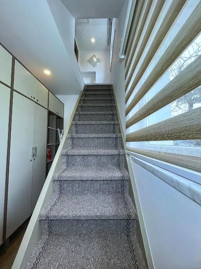Apartmani NiS