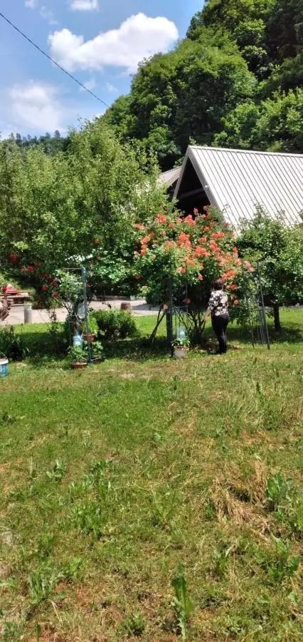 Apartmani Dada Kanjon Grmuša