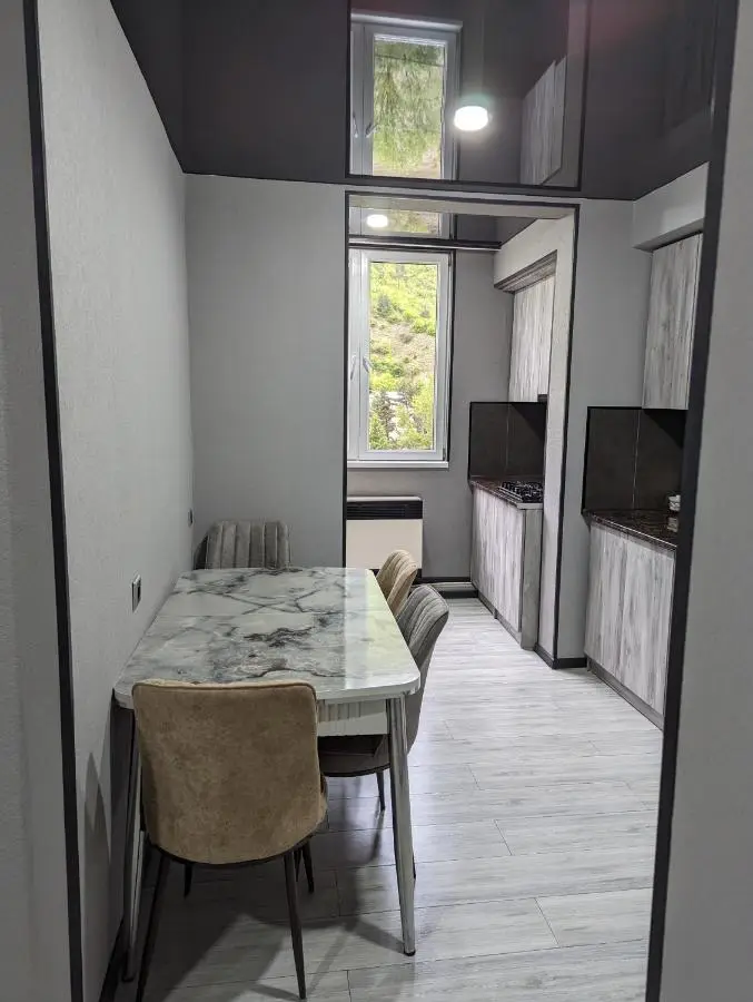 Gari's apartment next to Borjomi Central Park